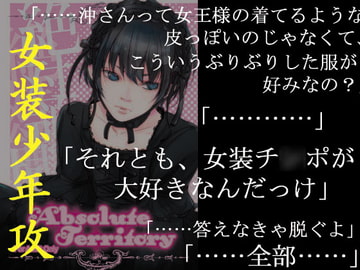 AbsolteTerritory -絶対領域- [Streich]