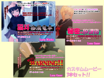 カスタムムービー3本セット!!001 [LunaGazer]