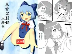 東方写影録-氷精章-