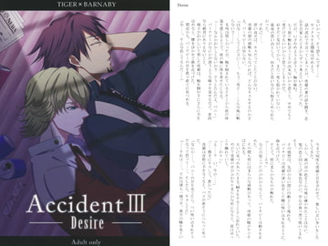 Accident III -Desire- [D*S-tyle]