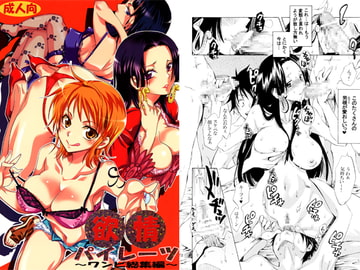 欲情パイレーツ～ワンピ総集編～ [くりおね社]