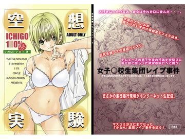 空想実験いちごVOL.3 [サークル空想実験]