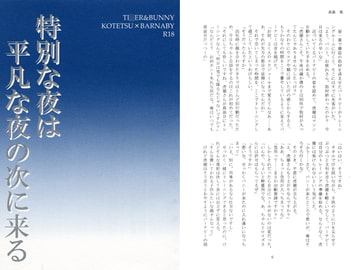 特別な夜は平凡な夜の次に来る [Diamond Magnum]