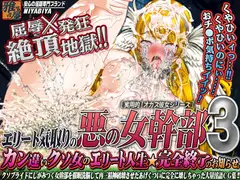 エリート気取りの悪の女幹部3 ～ カン違いクソ女のエリート人生★完全終了のお知らせ。