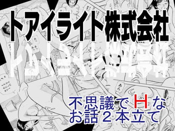 トアイライト株式会社 [丸美企画]