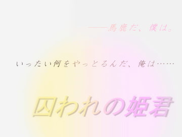 囚われの姫君 [飛田流]