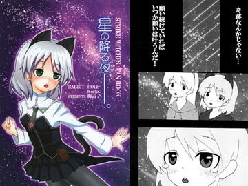 星の降る夜─。 [RABBIT HOLE Works.]