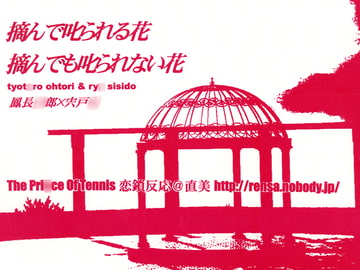 摘んで叱られる花　摘んでも叱られない花 [恋鎖反応]