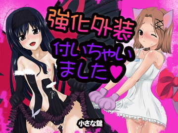 強化外装付いちゃいました。 [小さな鍵]