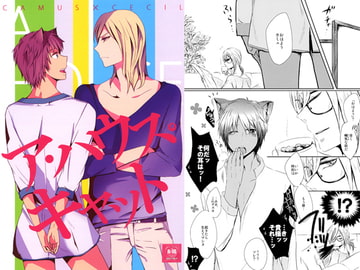 A HOUSE CAT [になもRe;]