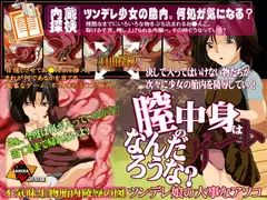 膣の中身はなんだろうなゲーム-ツンデレ娘の大事なアソコ-