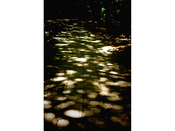 拝啓、 [雨上がり。]