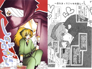 Red Ninja [Machine dog in the secret room]