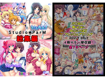 Studio★ParM総集編-vol.2 [Studio★ParM]