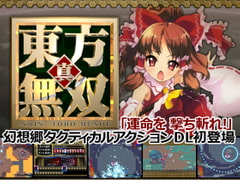 真・東方無双 [はちみつくまさん]