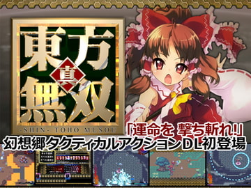 -SHIN- TOHO MUSOU [hachikuma]