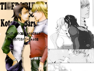 キャンディをすぐ噛んじゃうおじさんと平熱が35.7℃のバニーちゃんの話 [居酒屋試作室]