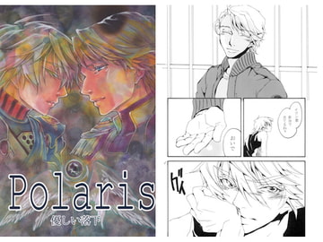 Polaris 優しい落下 [ロリータ★ジャンキー]
