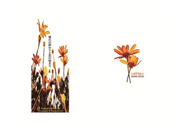 憧れの終わりと恋の始まり [ぽてぽて]