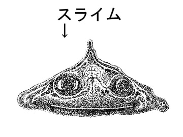 私とトラウマモンスターズ [ぺろぺろまんもす]