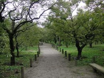 フリーズ [リフテンロック]