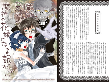 僕の兄さんが魔神の花嫁になる訳がない [ラヴプレス]