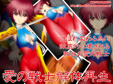 愛の戦士解体再生 [NATURALDAYS]