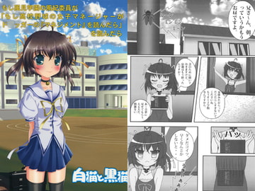 もし風見学園の風紀委員が「もし高校野球の女子マネージャーがド○ッガーの『マネジメント』を読んだら」を読んだら [白猫と黒猫]