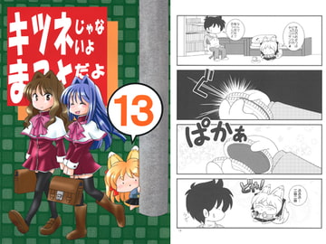 I'm Not A Fox, I'm Makoto Vol. 13 [AkasakaKomachi]