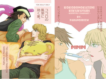 ココロの風邪に効く薬。 [ぱらのいあいずむ]