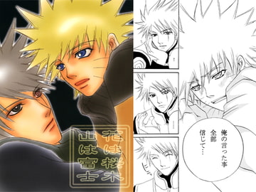 Cherry Blossoms and Fuji [PARANOIRIZM]