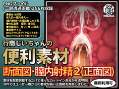 行商じいちゃんの便利素材 断面図・膣内射精2(正面図) [行商じいちゃん]
