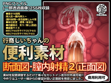 行商じいちゃんの便利素材 断面図・膣内射精2(正面図) [行商じいちゃん]