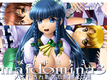 メイドミナ3 [小乃枝電網]