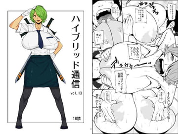 Hybrid Comm Vol.13 [Hybrid Office]