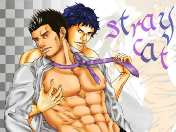 stray cat [とりあえず生]