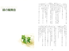 緑の輪舞曲 [陽のあたる場所]