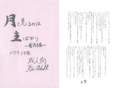 月と見るのは主ばかり　～番外編～