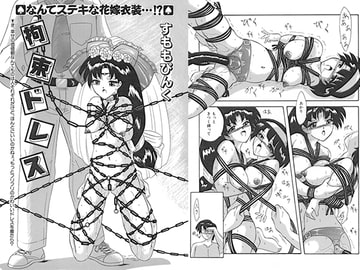 すもも　ぴんく作品集.4 [すもも堂]