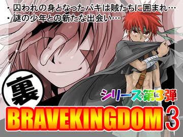 裏BRAVEKINGDOM3 [SIDE:M]