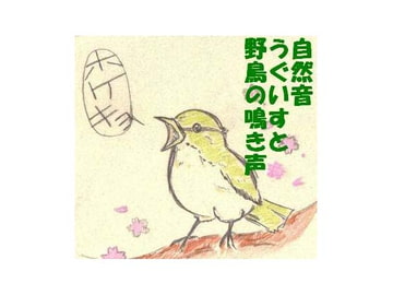自然音 うぐいすと野鳥の鳴き声 [にくきゅう ぽこ]