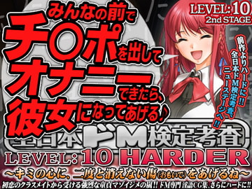 全日本ドM検定考査: レベル10*HARDER ～キミの心に、二度と消えない傷をあげるね～ [全日本ドM実力検定考査]