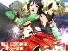 戦う! 三○無双 ダメージ編