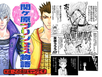 関ヶ原プリンセス物語 [天破侠乱]