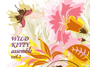 WILD KITTY assemble vol.2 [WILD KITTY STRIKE]