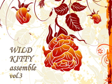 WILD KITTY assemble vol.3 [WILD KITTY STRIKE]