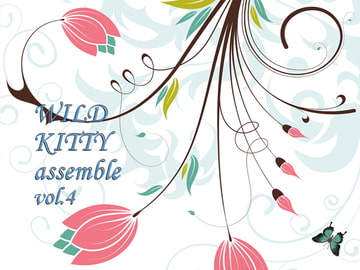 WILD KITTY assemble vol.4 [WILD KITTY STRIKE]