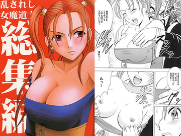 乱されし女魔道士総集編 [クリムゾン]