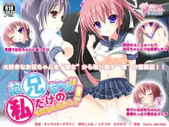 お兄ちゃんは私だけのものなんだからっ!!