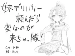 妹デリバリー頼んだら、変なのが来ちゃっ隊!
